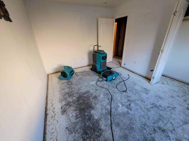 Best Water damage restoration experts  in Hartford, WI