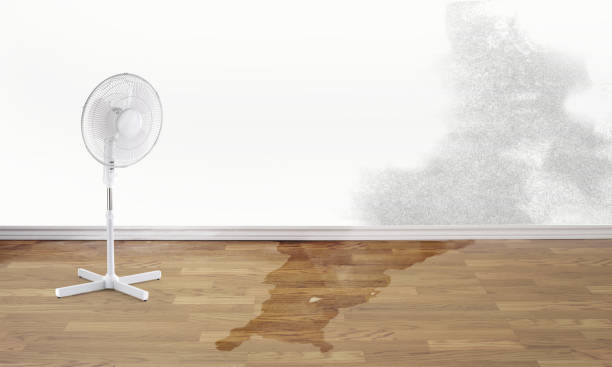 Best Commercial water damage restoration  in Hartford, WI