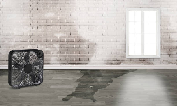 Best Flood damage cleanup  in Hartford, WI