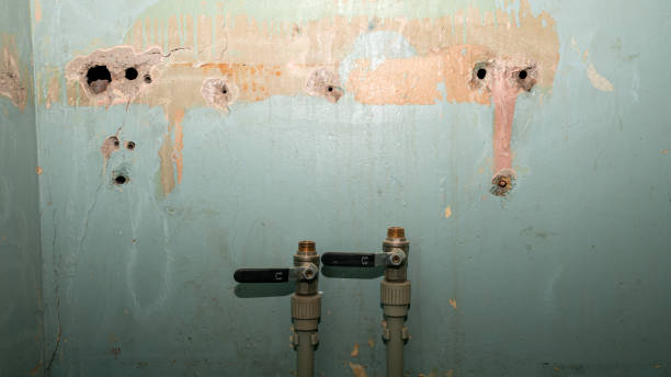 Best 24/7 water damage repair  in Hartford, WI