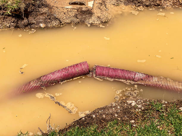 Best Water damage contractors near me  in Hartford, WI